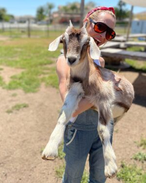 Marnie Alton Instagram - Best Day Ever Report 🥰

I was so grateful to be able to spend a day at Viva Rescue & meet the incredible founders Maya & Kalli. We first connected here on IG where I basically stalked their profile until all of my endless likes & comments got their attention & they invited me out for a visit 😆 It really was one of the best days I’ve ever had. I learned so much about the treatment of farm animals specifically. When I asked Maya why they chose to focus on taking the cases that aren’t usually considered “worth saving” she told me that this is where compassion is needed most. That it’s one small step to creating a world where we don’t just toss away creatures because they don’t serve us in the immediate moment. That humanity should be better than that... she’s right. 

Back to the farm 🐐🐑🐴🐓🦜

The animals (both big & small) were soooo happy, healthy & just as freaking cute as in their pics but what I didn’t expect was what a complex & well run system the whole operation is & how totally dedicated they are. There's no such thing as a "day off" when it comes to running any sanctuary (shout out to ALL the amazing rescues out there 🙌) & on top of it these incredible humans also take on some of the most challenging medical cases, pouring their hearts into every recovery & witnessing countless miraculous transformations. To say they work hard is a giant understatement. 

The only way they can do any of this is through donations. They could really use our help right now. The weather & the economy has hit them especially hard. Even just $1 a month as a patreon can make a difference, one paw at a time🐾

If you want to support or even just spread the word they have lots of great info in the link in their profile. I added a donation link to my profile too so it’s easy to find. You can also share this post cus who does’t love baby goat pics?! ☺️

Thank you @vivaglobalrescue for all you do & thank you to everyone who took the time to read this post. Here’s to leading with love 🙏❤️

Ps. If you wanna see out more of the sanctuary & the animals check out my latest reel they’re all sooooo cute! 

#animalsanctuarylife 
#miracleshappen 
#donateforacause 
#mbodyglobalfam