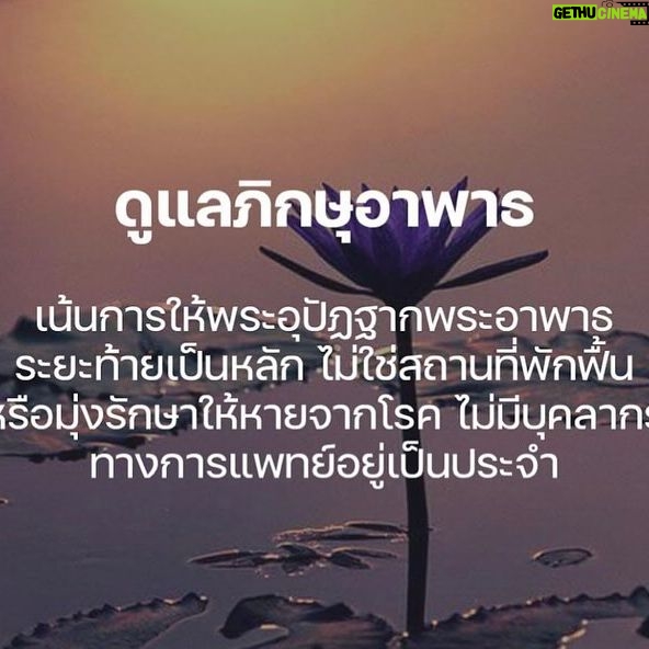 Marsha Vadhanapanich Instagram - มูลนิธิสันติภาวัน https://santibhavan.or.th วันมาฆะบูชานี้ ข้าพเจ้า มาร์ชา วัฒนพานิช ขอบริจาคปัยจัย ไปที่สันติภาวัน เป็นที่พระสงฆ์อาพาธ และไม่มีพยาบาลดูเเล ท่านต้องดูแลกันเอง🙏🏻🙏🏻🙏🏻 จึงขอให้ท่านได้ใช้ประโยชน์จากปัจจัยนี้สูงสุด ใครอยากช่วยตามศรัทธานะคะ ที่นี่อยู่จ.จันทบุรี ข้าพเจ้า มาร์ชา วัฒนพานิช ขอผลบุญส่งแผ่ไปให้ไพศาล ถึงบิดา มารดา และอาจารย์ ทั้งลูกชายข้าพเจ้า และครูบาอาจารย์ทั้งหลาย รวมถึงคู่เวรคู่กรรม เจ้ากรรมนายเวร และ ขออโหสิกรรม ถ้าได้ทำสิ่งใดที่รู้เเละมิรู้ ขอท่านจงอโหสิกรรมซึ่งกันและกันเถิด ข้าพเจ้าให้อโหสิกรรมทุกสิ่ง เเละรวมถึงผู้เคยร่วมงาน และกำลังร่วมงาน ผู้ที่มีบุณคุณ ต่อข้าพเจ้า หรือ ประสงค์ไม่ดีต่อกันก็ตาม ขออโหสิกรรมต่อกัน และเลิกรา ต่อกันเถิด มิอยากเกิดมาเจอเรื่องเดืม ข้าพเจ้าอโหสิกรรมแล้ว….. ขอให้ มิตรที่ดีทั้งหลาย ญาติพี่น้อง บรรพบุรุษข้าพเจ้า ได้รับบุญด้วยเช่นกัน รวมถึงคนที่ต้องเจอต่อๆไปในอนาคตมีส่วนได้ในกุศล ผลของข้าพเจ้า เจอคนดีดี มีใจดีดี และขอให้ถึงท่านเทวดา ท้าวเทวัญมีส่วนได้ในกุศลผลนี้เทอญ และขอแผ่เมตตานี้ถึงสรรพสัตว์ทั้งหลายทั้งปวง ต่างก็ เกิด แก่ เจ็บ ตาย ด้วยกันหมดทั้งสิ้น จงเป็นลุข เป็นสุขเถิด🙏🏻🙏🏻🙏🏻 สาธุ อนุโมทนา