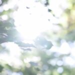 Marta Żmuda-Trzebiatowska Instagram - Dbacie o siebie? Jesteście dla siebie łagodne? Wsłuchujecie się w swoje potrzeby? Zaopiekujcie się dziś sobą, znajdźcie przestrzeń tylko dla siebie, utulcie swojego wewnętrznego dzieciaka i sprawcie sobie odrobinę przyjemności. Gorąco was do tego namawiam w ten pochmurny dzień. Dzień dobry poniedziałku! 🌻🍁🧡 📹 @wontek_