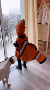 Marta Melro Instagram - Só o Nemo e a sua Dory a apreciar a chuva 🌧️ 🐠🐟🧡🥹