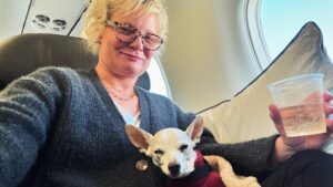 Martha Plimpton Instagram - So long, #Arkansas!!!! I was in you for a mere ten days. It was sad not to have time to visit the vets who saved #Walter from the barbecued gravel last time we were here. Remember that hilarious/terrifying misadventure?? Anyway, you’ve got a beautiful state, so remember to #vote and #keepabortionlegal! The difference between a great state and a shitty one is #equalrightsunderthelaw. #peace #abortionisnormal