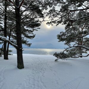 Martina Haag Instagram - Skärgården på vintern💙