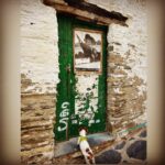 Martina Gusmán Instagram - ✨ Shanti conociendo a Dalí 🐾 ✨