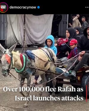 Mary Lambert Instagram - U.S. funded genocide has been happening and is escalating to literal hell right now. Biden, Netanyahu, congress—you are deathmakers. Nothing else matters when it’s genocide. Be outraged, be horrified, stay eyes open