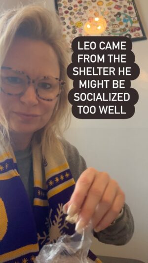 Mary Lynn Rajskub Instagram - How am I doing with my dog from the shelter @agwcrockinrescue in Woodland Hills. Check out their petz in need of a home. Thanks again @awkwardcoffee_la for treating us like royalty #LA #christmasbreak #rescuedog #coffee #walk