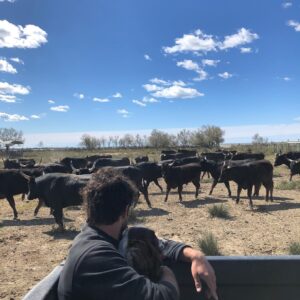Marysole Fertard Instagram - Clap de fin pour la camargue 🎬
@rubenalves09 le king des cowboys et ses petites abeilles …
@guillaume__labbe 
@thibautevrard 
@simonehrlacher 
@corentinfila 
@fleurcopin 
@fre2ricfix 
And surprise gueeest 

MERCI
@charlotte_t_d 
@myriam_de_vasselot 
@olivschmitt 
Et cette équipe de loukoum…❤️🙌

#ESCORTBOY
#amazoneprimevideo 
#MAINTENANTONATTEND

BISOUS DOUX SUR VOUS