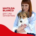Matilda Blanco Instagram - ¡Gracias @matildablanco por alzar tu voz por los animales y pedir por #LeySintientes! ❤️ Matilda Blanco te invita a firmar y compartir nuestra petición para que todos los animales sean declarados sintientes y sujeto de derecho y dejen de ser catalogados como “COSAS” en el Código Civil y Comercial Argentino. 🇦🇷 ¿Nos ayudás a llegar a 1 millón de firmas? 🙏🏻 ¡LINK EN BIO! #MatildaBlanco #DerechosAnimales #SintienciaAnimal #Argentina . Thank you Matilda for raising your voice for the animals and supporting #SentientLaw! ❤ Matilda Blanco invites you to sign and share our petition so that all animals are declared sentient and subject to law and stop being considered as “OBJECTS” in the Civil and Commercial Code in Argentina. Help us reach 1 million signatures 🙏🏻 LINK IN BIO! #AnimalRights #AnimalSentience