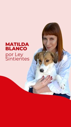 Matilda Blanco Instagram - ¡Gracias @matildablanco por alzar tu voz por los animales y pedir por #LeySintientes! ❤️

Matilda Blanco te invita a firmar y compartir nuestra petición para que todos los animales sean declarados sintientes y sujeto de derecho y dejen de ser catalogados como “COSAS” en el Código Civil y Comercial Argentino. 🇦🇷

¿Nos ayudás a llegar a 1 millón de firmas? 🙏🏻 ¡LINK EN BIO!

#MatildaBlanco #DerechosAnimales #SintienciaAnimal #Argentina

.

Thank you Matilda for raising your voice for the animals and supporting #SentientLaw! ❤

Matilda Blanco invites you to sign and share our petition so that all animals are declared sentient and subject to law and stop being considered as “OBJECTS” in the Civil and Commercial Code in Argentina.

Help us reach 1 million signatures 🙏🏻 LINK IN BIO!

#AnimalRights #AnimalSentience