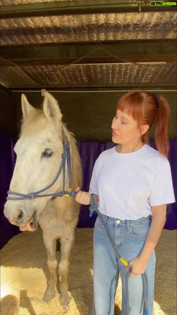 Matilda Blanco Instagram - Hice una visita especial 🐎🐎🫏🦮 Fui a @caballosquilmesoficial Quiero contarles a cerca del gran trabajo que hacen rescatando caballos esclavos por la Tracción a Sangre! Sabias que cada Caballo esclavo que ves en un carro es robado! Basta de Tracción a sangre! Quiero pedirles a todos que visibilicen el maltrato animal en todas sus formas. Si ves maltrato animal Denuncia!!! Apoyemos la Ley Sintientes ♥️ Quiero agradecer a Karina fundadora de Caballos de Quilmes y a todo su incansable equipo, que lo da todo por cada rescate! 🙏🏻 www.caballos de quilmes.org 📌Acércate a las organizaciones de rescate de nuestro pais! Súmate a la acción! 💪🏻💪🏻💪🏻 #nomastas #bastademaltratoanimal #leysintientes