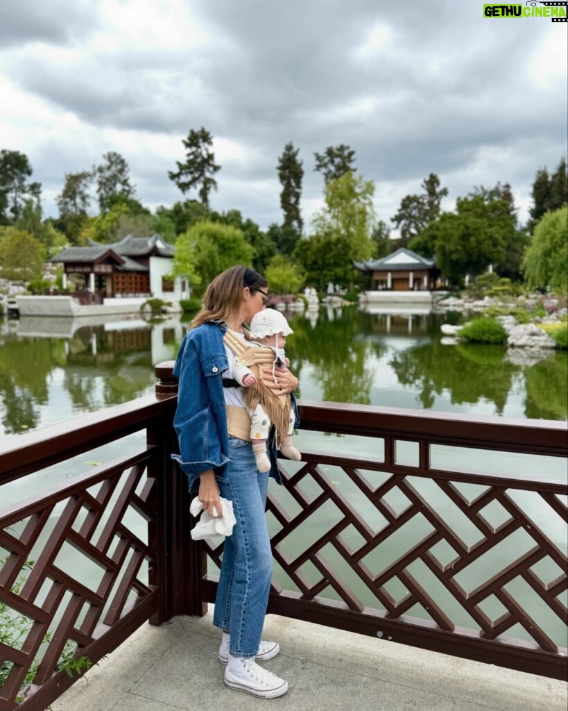 Matilde Breyner Instagram - Tantos anos a vir a LA e como é que ainda não tinha vindo aqui? O Huntington é um centro cultural e de pesquisa composto por jardins botânicos, uma biblioteca e um centro de arte. Os jardins estão divididos por temas, são km e km a perder de vista e uma tarde inteira não chega para ver tudo. Passeámos no Desert Garden, Japanese Garden e no Chinese Garden. E ainda passámos pelo Jungle Garden a vir embora. É tudo lindo e perfeito para adormecer bebés. Nada como um white noise ao vivo 🐝🦋🐿️🌵🌴🌿🍄