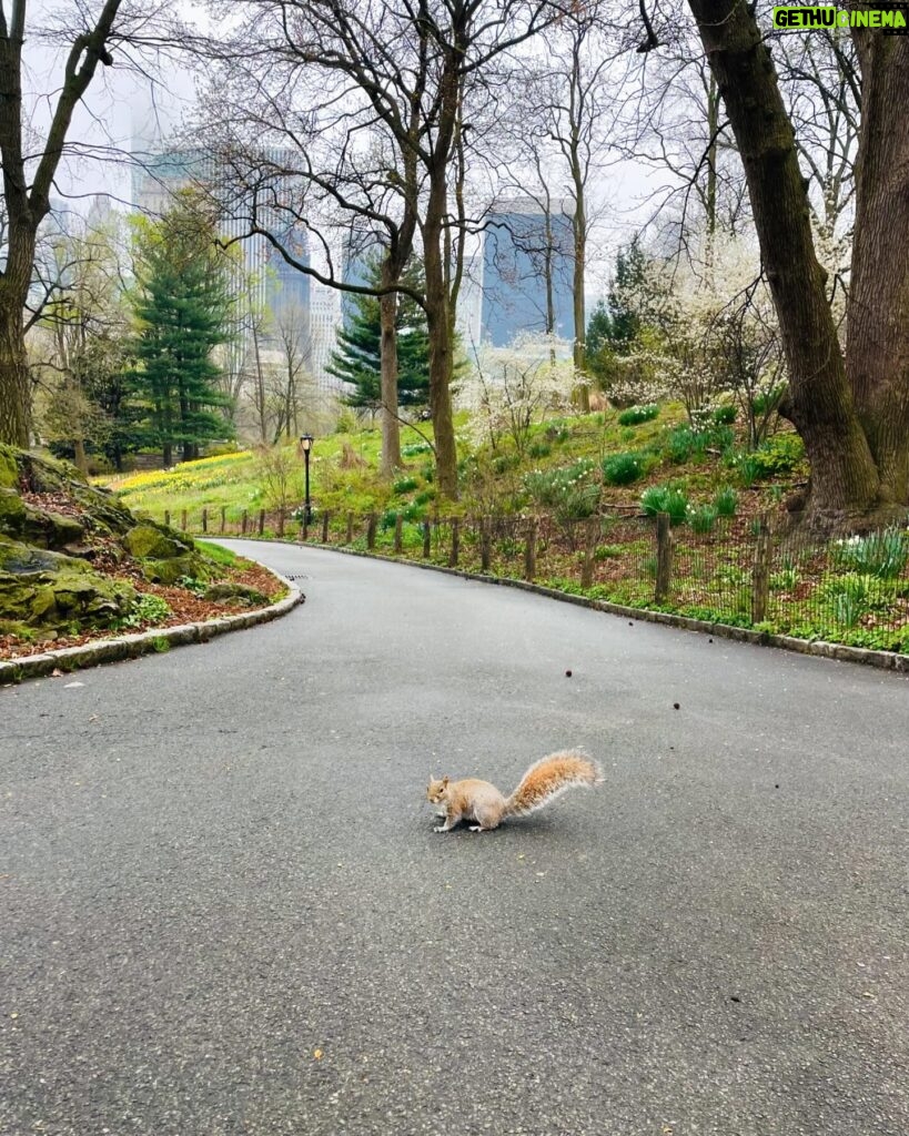 Matilde Breyner Instagram - Trouxe o meu esquilinho a NY 🐿️