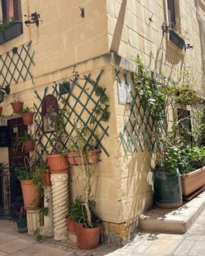 Maude Harcheb Instagram - Malte jour 1 : La Valette   Les 3 cités 

- les jardins de barrakka 🌺
- « faut monter tout ça ?! Rooooo »   pose dépitée 😅
- passion portes multicolores 🚪
- beaucoup de beauteyyyyy
- cherche et trouve le français 😆
- 1ere glace roulée sur plaque : hyper surcôté 🤪
- on a pris le bateau 🛶
- pause hydratation 💦☀️
- on a grimpé tout en haut de La Valette « parce qu’il doit y avoir un bon spot photo pour le sunset » 🌅
- La Valette by night ⭐️