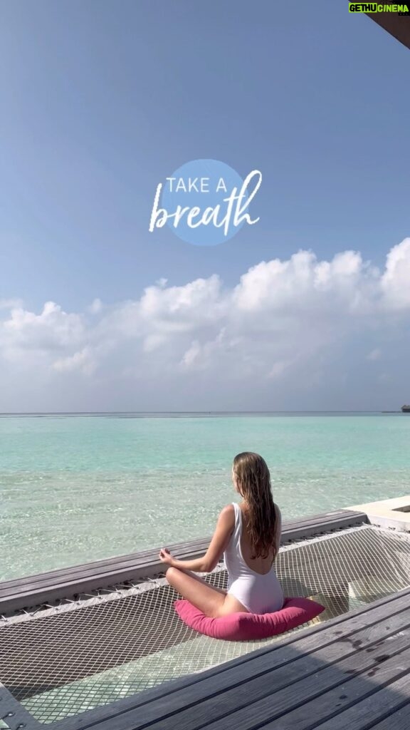 Maude Hirst Instagram - 🛑STOP SCROLLING AND BREATHE🛑 Why are we always in such a rush anyway? Let this video calm the breath and sooth the nervous stystem. A reminder to take time to get out in nature and soak up the little moments of stillness 🌳 #breathe #findyourcalm #stopscrolling #mentalhealth #lookafteryourself