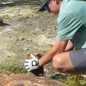 McKaley Miller Instagram - this is my camera roll from our trip.. really can’t decide who Seth loves more, me or the coconuts he found on the ground..