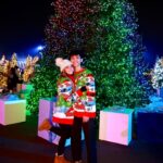 McKenzi Brooke Instagram - Still living my winter fantasy ❄️❤️ @winterfestoc #winter #december #holiday #fair