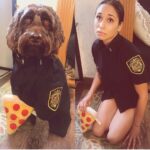 Meaghan Rath Instagram - This wise man has taught me so much and held my hand through the biggest moments of my life. Not one day goes by where I don’t feel grateful for his presence. I’m so lucky we get to do life together, Bug. Happy 9th birthday, chocolate log.🤎