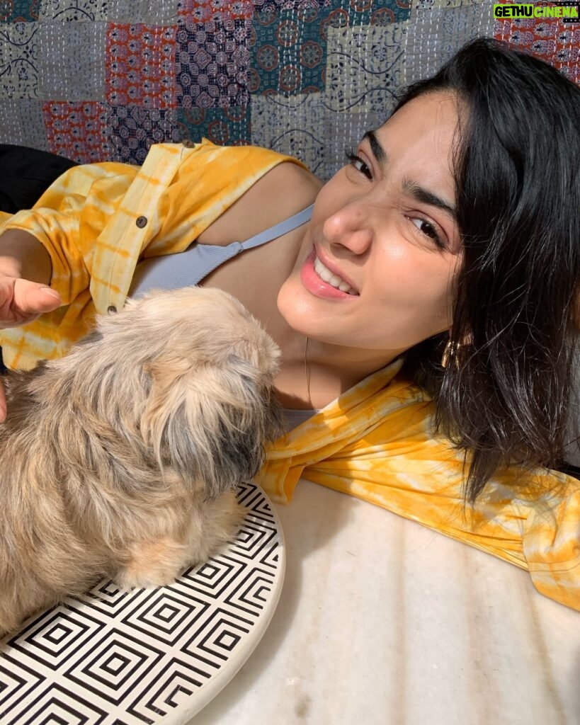 Medha Shankar Instagram - #bts convincing Laila to take pictures with me is a whole process🌝 . . . . . . . . . . #doglove #doggylovers #sunnyday