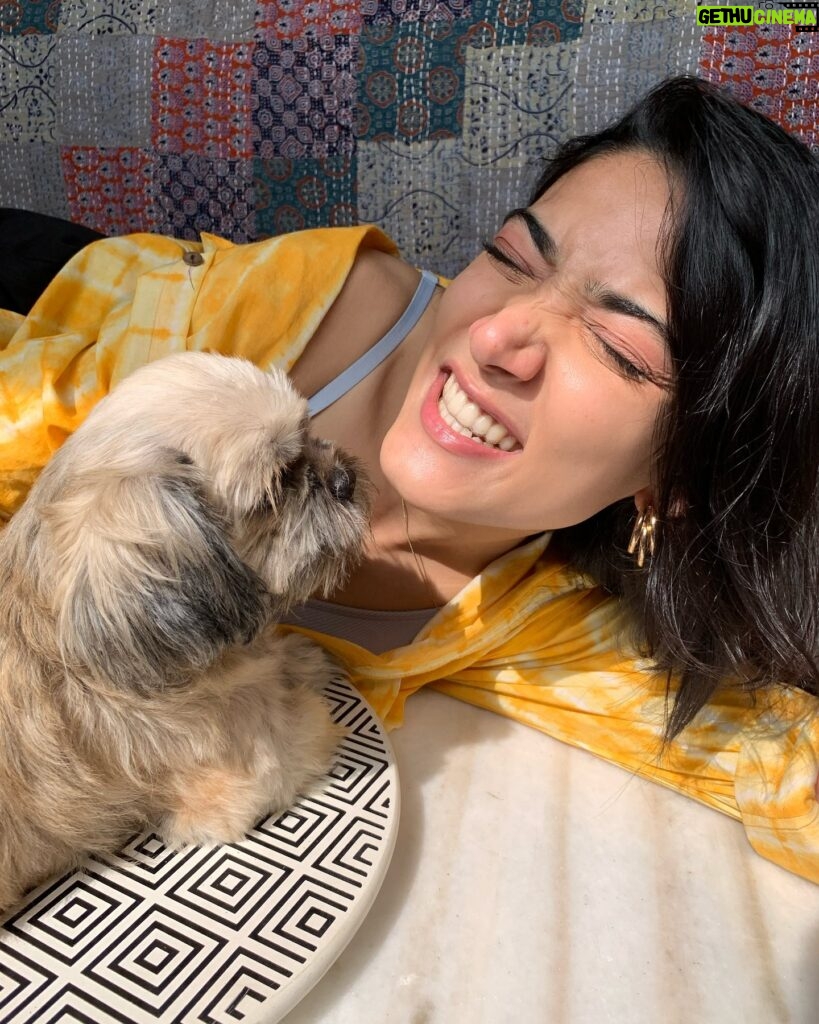 Medha Shankar Instagram - #bts convincing Laila to take pictures with me is a whole process🌝 . . . . . . . . . . #doglove #doggylovers #sunnyday