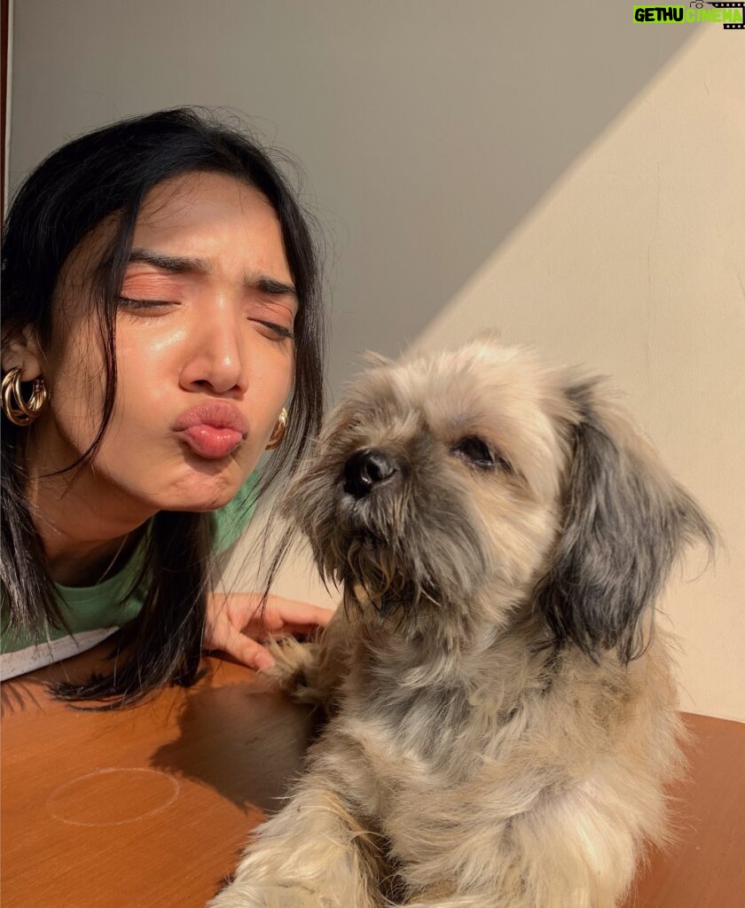 Medha Shankar Instagram - When you don’t give me attention.......I take it🤓🐶 #shelovesme #shejustlikesherspacemore . . . . . #dogsofinstaworld #doggylovers #explorepage