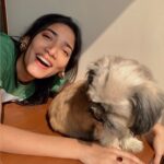 Medha Shankar Instagram – When you don’t give me attention…….I take it🤓🐶
#shelovesme #shejustlikesherspacemore 
.
.
.
.
.
#dogsofinstaworld #doggylovers #explorepage