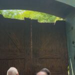 Meera Anil Instagram - The moment when I literally cried..🥰🥰 The only request that my Achan ever denied in my life was that NO JURASSIC PARK IN THEATRE. He Thot I might get a terror impact,as the movie was an universal sensation back in 1993. I was 4, and I cried over the request and have done all the insane things that a child can think about with. When my friends wer discussing about the impeccable theatrical experience of JURASSIC PARK,I sat there, keeping a slight grudge n my heart against Appa. And here I AM,after long 30 years,at my 34th year am seeing THE REAL JURASSIC PARK. I literally cried when I came out. Coz I was that 4 year child again..! (Am not adding any music to this,as I wanna remember the clips as real as it was) #@And appa,I missed u❤️