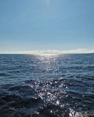 Meeri Koutaniemi Instagram - Kiitos Kaunissaari, Hailuoto ja kummitytöt! ☀️☀️☀️

Saaria, veneitä, uinteja, eväitä, tansseja, tuoksuja, halauksia ja loputon kesän valo. Ei oo ikinä ollut näin antelias loma. 

Ja tänään rakas kummityttöni Louna pääsi ripille ja mua itketti, että hän on kohta jo aikuinen nainen. 😭❤️