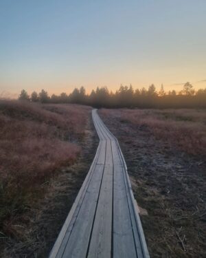 Meeri Koutaniemi Instagram - Kiitos Kaunissaari, Hailuoto ja kummitytöt! ☀️☀️☀️

Saaria, veneitä, uinteja, eväitä, tansseja, tuoksuja, halauksia ja loputon kesän valo. Ei oo ikinä ollut näin antelias loma. 

Ja tänään rakas kummityttöni Louna pääsi ripille ja mua itketti, että hän on kohta jo aikuinen nainen. 😭❤️