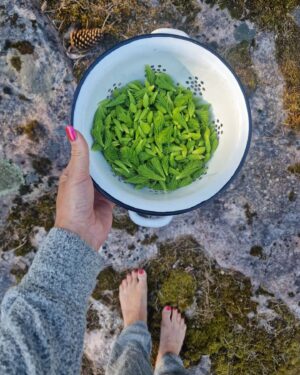 Meeri Koutaniemi Instagram - Mökkilife, best life.