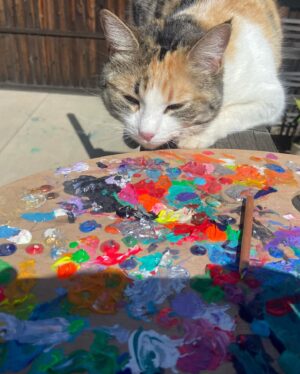 Meg Myers Instagram - New song I’m currently writing. Will share a clip playing it once I finish the lyrics (also a cute picture in here of my cat I took yesterday hehe)

I wish somebody would come and save me
But that somebody is me
I wish somebody’d wrap their arms around me
Hold me tenderly

I wish somebody would heal my sorrows
Turn em into peace of mind 
Need lyrics here>______________________
_____________________________________
That somebody is me
That somebody is me
That somebody is me

So rise up and fill your cup
Gotta rise up into self love
So rise up, you are enough
Yea rise up into self love

I wish somebody would come and save me
But that somebody is me
I wish somebody would pay attention 
To what it is I need, yea

That somebody is me
That somebody is me
That somebody is me

📸 @catielaffoon 🌈
