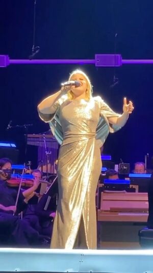 Megan Hilty Instagram - thank you san diego! ✨ what a magical night ✨