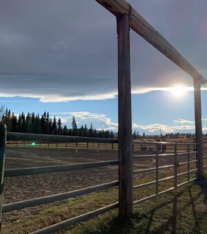 Megan Follows Instagram - My work done for now. Always a pleasure working in Alberta and on @official_heartlandoncbc  thanks to all especially during these Covid challenging pandemic times a nod of gratitude to a wonderful hardworking crew who help bring this show to life. Stay safe and be well and let’s all take care of each other. #filmalberta #heartland #agirlandherhorse #guitar @official_heartlandoncbc @the_real_shaunj @amber_marshall_farm #grandpajack  #sky #clouds