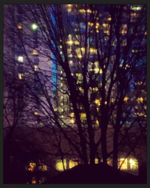 Megan Follows Instagram - City trees at dusk #trees #lights #concrete #urbantree