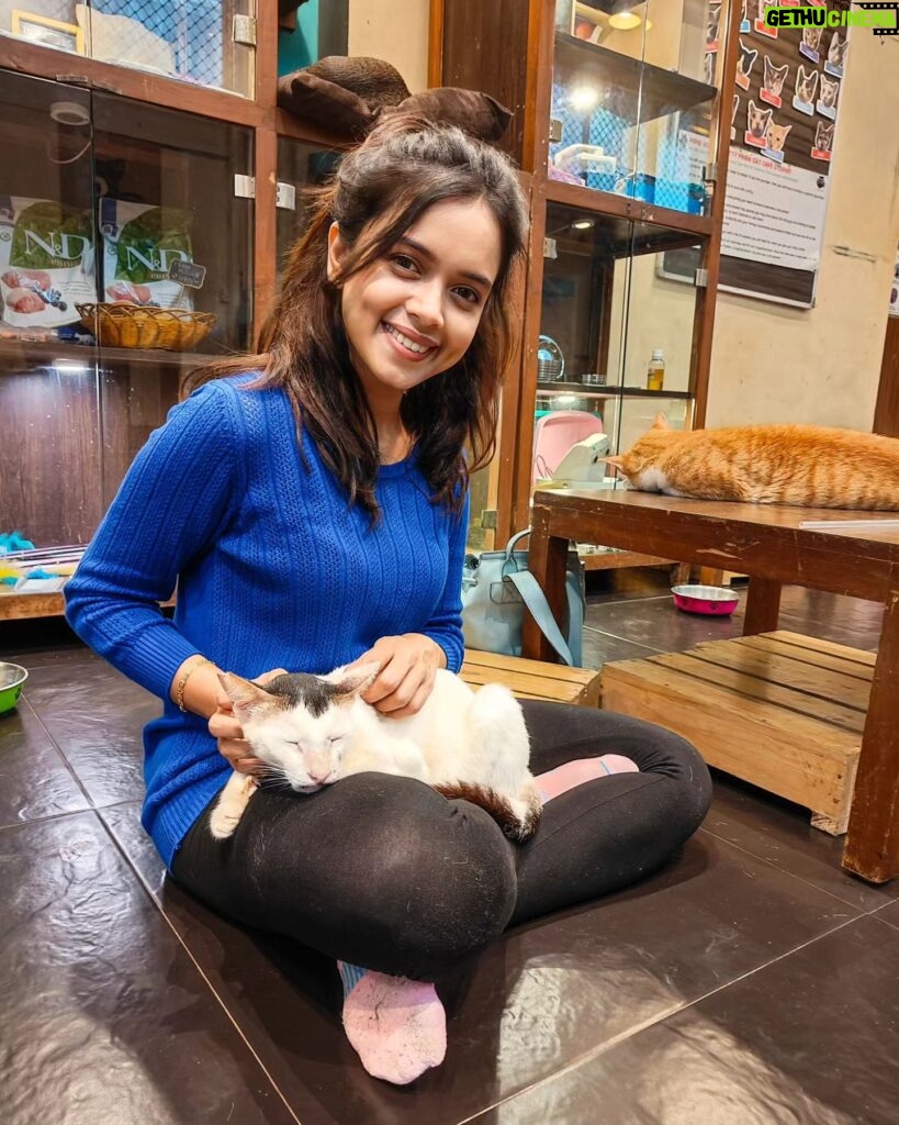 Megha Ray Instagram - It was a good day to have a good day 🌞🐈 From Cat Cafe to Scrumptious to Carter Road 💙 #cats #cats #coffee #food #andcats P.S Frannie didn't leave my lap until I really really had to wake him for a washroom break 😂🙈