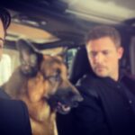 Meghan Ory Instagram - This is the only way I can track down my super busy hubby @johnny_reardon_ —job crash😂 Work wife #diesel and wife wife on #hudsonandrex @hudsonandrex
