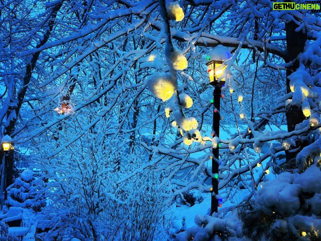 Meghan Ory Instagram - Morning #snowday