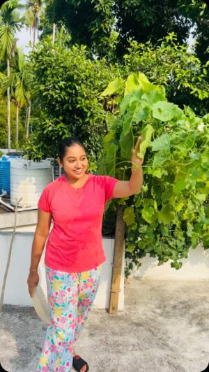 Meghna Vincent Instagram - ഗോവയ്ക വിളവെടുപ്പ് #trending #ağrı #homegarden