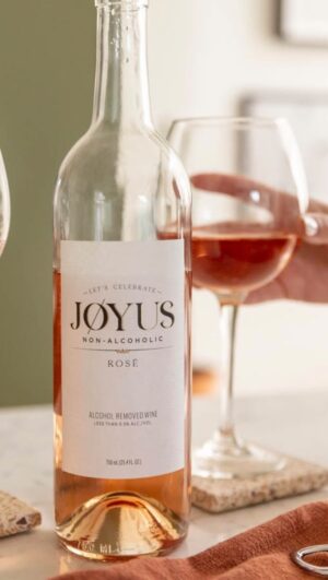 Melanie Paxson Instagram - Don’t mind me, just taking care of my newest baby 🍾 @drinkjoyus makes my absolute favorite non-alcoholic summer drinks and it’s only fitting to treat it just like my child ✨ Use code MELLYPAXSON for 10% off all wines and Sober Summer apparel

#melaniepaxson #actress #descendants #descendants2 #descendants3 #savingmrbanks #disney #disneylove #charleston #charlestonliving #chs #drinkjoyus #sobersummer