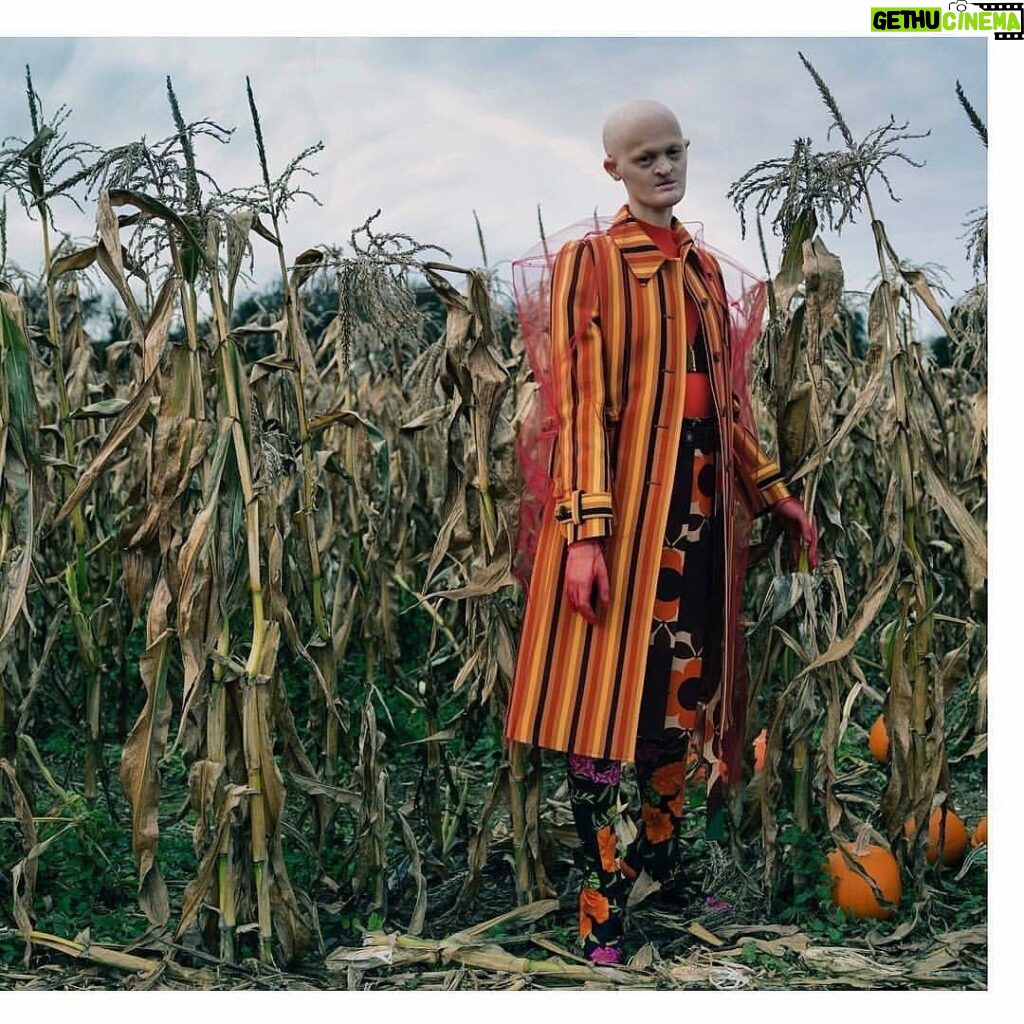 Melanie Gaydos Instagram - Tim Walker for @i_d styled by @kjeldgaard1 2017 🎃✨🎃✨🎃 #melaniegaydos