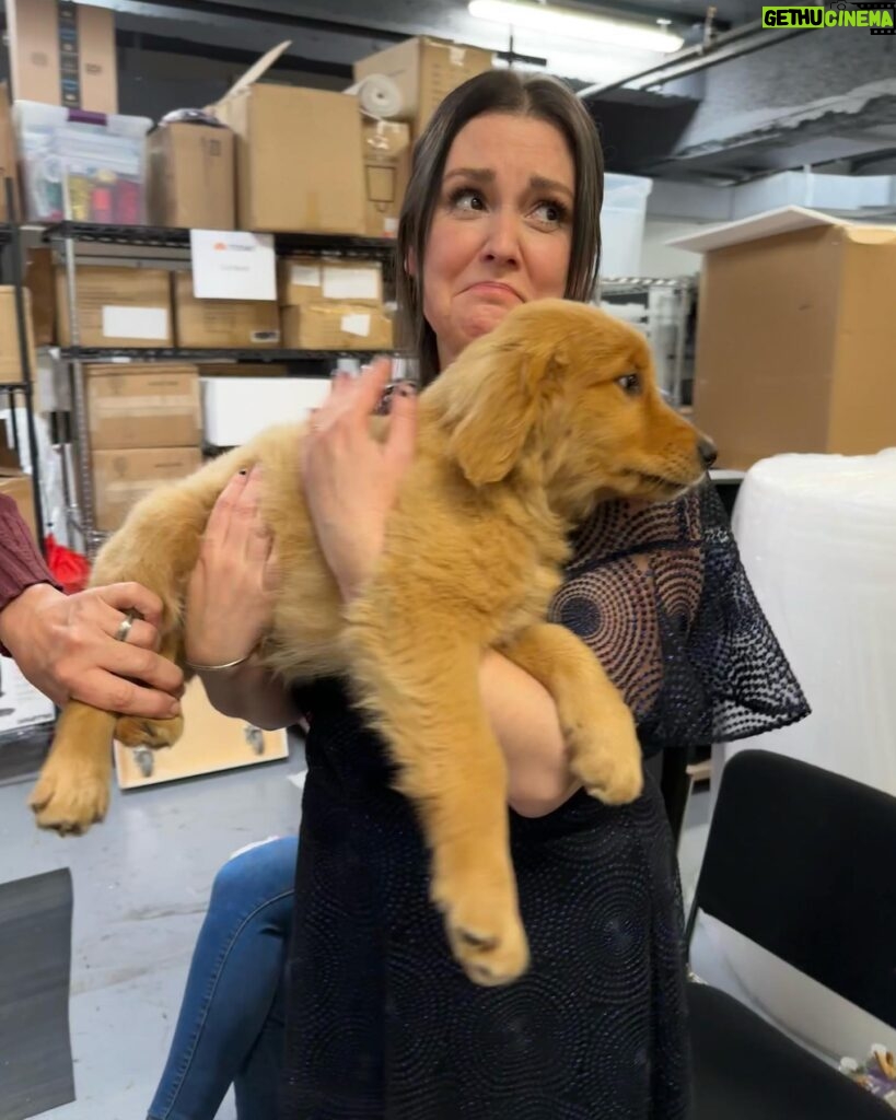 Melanie Lynskey Instagram - Well I fell in love with a puppy and had the MOST fun with the kind and wonderful @jimmyfallon My thanks to @lindahaymakeup and @helenreavey for two very very long days of beautiful makeup and hair changes and lots of lovely chats Will post some photos of all the amazing outfits my sweet @misha_rudolph_stylist put together for me!! My thanks to @innayourshoes for helping me and finding this lovely @akrisofficial outfit while I was having a wardrobe emergency half an hour before the taping!! @fallontonight #puppies 📸 by my sweet wonderful publicist @kawachouttt who everyone adores