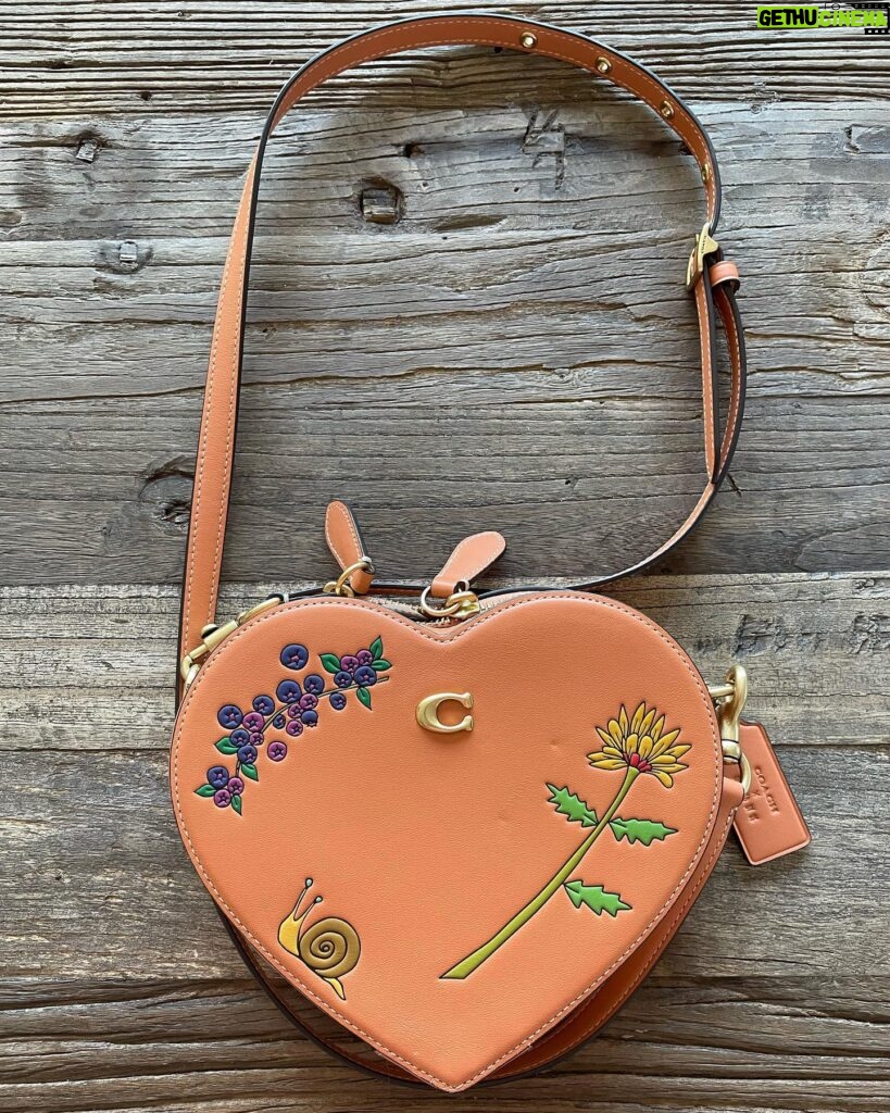Melanie Lynskey Instagram - I got to have a poppet date night on Wednesday and celebrate the launch of this amazing collaboration between @coach and @observedbyus and @kirstendunst. These pieces are so special and so unique and beautiful, clearly made with love and as a result of such a sweet friendship. There are ants on this heart bag!! It’s so charming! Every person at the dinner was wonderful and it really felt like hanging out with friends. You know how people always ask “who would you have at your dream dinner party?” Well now I know my answer, and it includes @stuartvevers @domfishback @observedbyus @kirstendunst and Jesse @hilaryduff @matthewkoma @negga.ruth @addison.timlin @evanrosskatz and my poppet @magslawslawson. And getting to congratulate Dom on the Emmy nomination I NEEDED to happen was so joyous. Feels a bit funny to post about anything other than the strike, but this really was a special night and is a super lovely collaboration and I wanted to say thank you 💖 Hair!! @dickycollins- makeup! @kristeeliu - styling and running all over town! @misha_rudolph_stylist Images: @bfa @jojo_jpeg @matthewyoscary Edited to say these shoes are also @coach !! Because people are rightfully very excited about the shoes