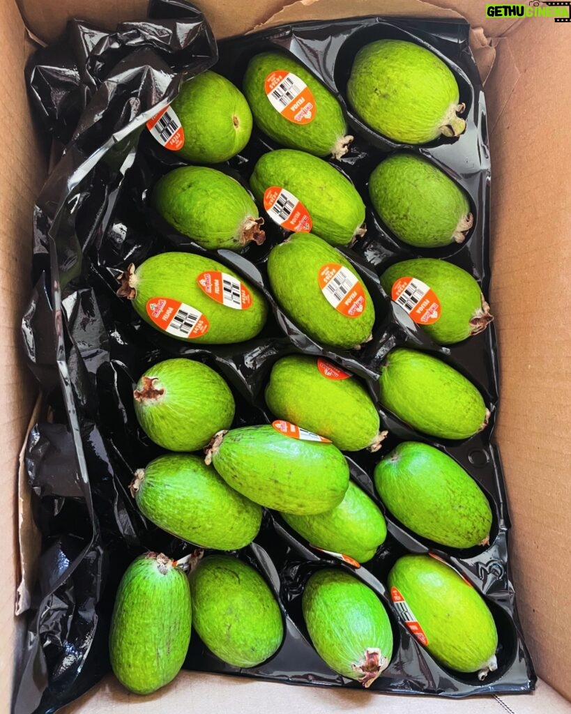 Melanie Lynskey Instagram - Did I see @davidfarrier’s post the other day and immediately order a box of feijoas? I certainly did. I don’t even know if I had time to like your post before I raced to @melissasproduce to order, sorry David. But thank you for helping me find feijoas in this country. #homesick #feijoa