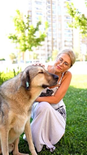 Melek Şahin Instagram - Sokakta zor koşullarda yaşamını sürdürmeye çalışan #evlatgibi sevdiğimiz patili🐾 çocuklarımız, sevgili Melek Şahin’in oluşturduğu “Melek Hareketi” ile hayat bulacak♥️

Evinemama.com ‘da satışta olan melek hareketi✨ ürünlerini satın alarak, sizler de bu sevgi hareketine😍 destek olabilirsiniz.

Melek hareketi ürünlerini incelemek ve sipariş oluşturmak için profildeki linke tıklayabilirsiniz⤴️

#evinemama #melekhareketi #melekşahin #sokakcanları #sokakcanlarınadestek #evinemamacom