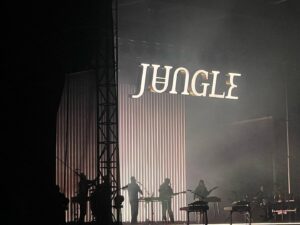 Melinda Shankar Instagram - @jungle4eva ✨ Was sweet to see our song played live! @johnny_larue wish I could keep up with those moves.. 😅💋