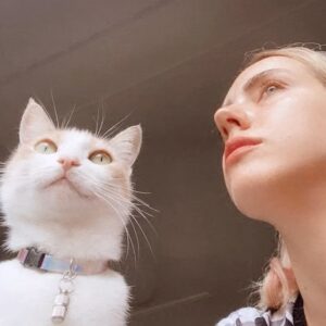 Melisa Akman Instagram - Canım Yin. 11 yıldır yanımda olan, tek tek patilerini öptüğüm, koynumda uyuttuğum, benim için kediden öte olan bambaşka bir bağa sahip olduğum kızımı gömdük. Göz yaşlarım gibi yağmur yağdı bir de üstüne, Eylül’ün ilk yağmuru. Tedavilere dayanamadı miniğim. Yanlış teşhis, yanlış tedavi ve bir bakışıyla şıp diye anlayan veterinerlerden yoruldu. Sessizce gitti. Bu süreçte iki kere kan transferi yaptık. Donörlerimize ve bize her anlamda destek olan güzel yürekli insanlara çok teşekkür ederim. Bir parçam koptu. Umarım sana layık olabilmişimdir Yin. Son fotomuzu sona koydum. Yerin asla dolmayacak.