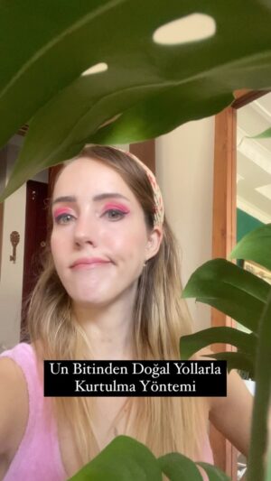 Melisa Akman Instagram - Un Biti Belası :) 

Hem çiçeklerin suyunu emip yaprakları çürütüyor hem başka bitkilere sıçrıyor hem de çok çabuk ürüyor. Genelde bitki köklerinde ve yaptak altlarında oluyor ama benim bitkimde her yeri sarmışlardı. 

Yıkayınca geçiyor diye okumuştum fakat benimki gibi taşıyamayacağınız büyüklükteyse bitkiniz kurtarmak için ilaç ya da kürden başka çözümünüz olmuyor. Ayrıca sarmaşığıma da bulaşmış. Onu yıkamama rağmen bir türlü geçmiyor bu bela. O nedenle bu kürü öneriyorum.

Peki insektist kullanmadan kurtulmak mümkün mü? Evet. Fakat bunun için bolca sabrınızın olması ve haftada en az iki kez zaman ayırmanız gerekiyor.  İlk olarak bitkinin Mayıs ayında toprağını değiştirdim. Daha önce de bahçede toprak değiştirirken un bitinin bitkime sıçradığını düşündüğüm için bu sefer ortamın çok daha steril olmasına özen gösterdim.
Sonrasında da 1 yıl boyunca tamamen bir daha tek bir böcek çıkmayana kadar kür uyguladım. 

Malzemeler:

Toprak ( toprak değişimi için mevsim çok önemli)
Su
Sirke(beyaz kullandım ben ama hepsi olur)
Çay ağacı yağı

El dezenfektanı ( alkol oranı yüzde 60’ın üstünde)
Pamuk ve kulak çubuğu (ulaşamadığınız yüzeyler için)

200 ml şişenin yarısını sirke ile doldurup 30 damla da çay ağacı yağı damlattım. 

Dezenfektan ve sirke kürünü dönüşümlü olarak haftada iki kere yahut böcek görülme sıklığına bağlı olarak kullandım.

Sonucunda değdi. :)

#unbiti #unbitiçözümü #mostera #bitkibakimi