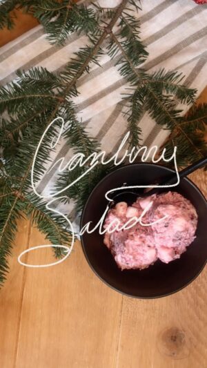Melise Instagram - This one wasn’t written on a recipe card but rather on my heart. This “Cranberry Salad” has been a holiday staple for my entire life. Lmk if you try your hand at it!
.
.
#cranberry #ambrosia #vintagerecipes #easyrecipes #dessert #holidayseason #meliseenplace