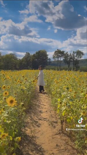 Melise Instagram - another happy place unlocked 🔓 #flowerfields #summertime
