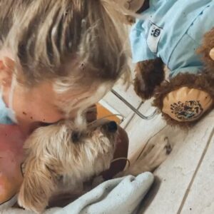Melissa Bolona Instagram - Dearest Bubba (Paco),
 Happy National Dog Day to YOU.  Today is the day you came home after 6 scary days in the hospital. Talk about irony.  I’ve always known how incredibly sweet and tough you are. But wow, what a fighter. I am better to know you and to love you.  I feel like the luckiest girl in the world that I have shared the past ten years with you and looking forward to another ten more. My brave, brave Bubba. I kept telling the doctors “you don’t understand, it’s sincerely not his time.” And of course “but no one on planet earth loves me like Bubba loves me!!!😭” and here we are. Back home in recovery mode back to our routine. Love you to the moon and back, my best friend.