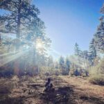 Melissa O'Neil Instagram - Colin and I were cruising through this special area in the San Bernadino National Forest and came across this circle that had a little mound of dirt with pine needles covering it like a seat. Looked like a good spot to tend a fire or, as we discovered, to watch the sun begin its descent. We sat there for a little while listening to the riiiccchh silence. So many special treasures within this semi-secret forest entry. Love sharing these special moments with my Bro. We went back the next morning with Tater. ✨🌲🌳🦅✨ Tonight is our season finale of The Rookie!! I’m going to try and dig up some content for you guys. Still resurfacing from a super full week with my family being in town. Hope you’re doing well.🏵