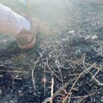 Melissa O'Neil Instagram - Colin and I were cruising through this special area in the San Bernadino National Forest and came across this circle that had a little mound of dirt with pine needles covering it like a seat. Looked like a good spot to tend a fire or, as we discovered, to watch the sun begin its descent. We sat there for a little while listening to the riiiccchh silence. So many special treasures within this semi-secret forest entry. Love sharing these special moments with my Bro. We went back the next morning with Tater. ✨🌲🌳🦅✨ Tonight is our season finale of The Rookie!! I’m going to try and dig up some content for you guys. Still resurfacing from a super full week with my family being in town. Hope you’re doing well.🏵